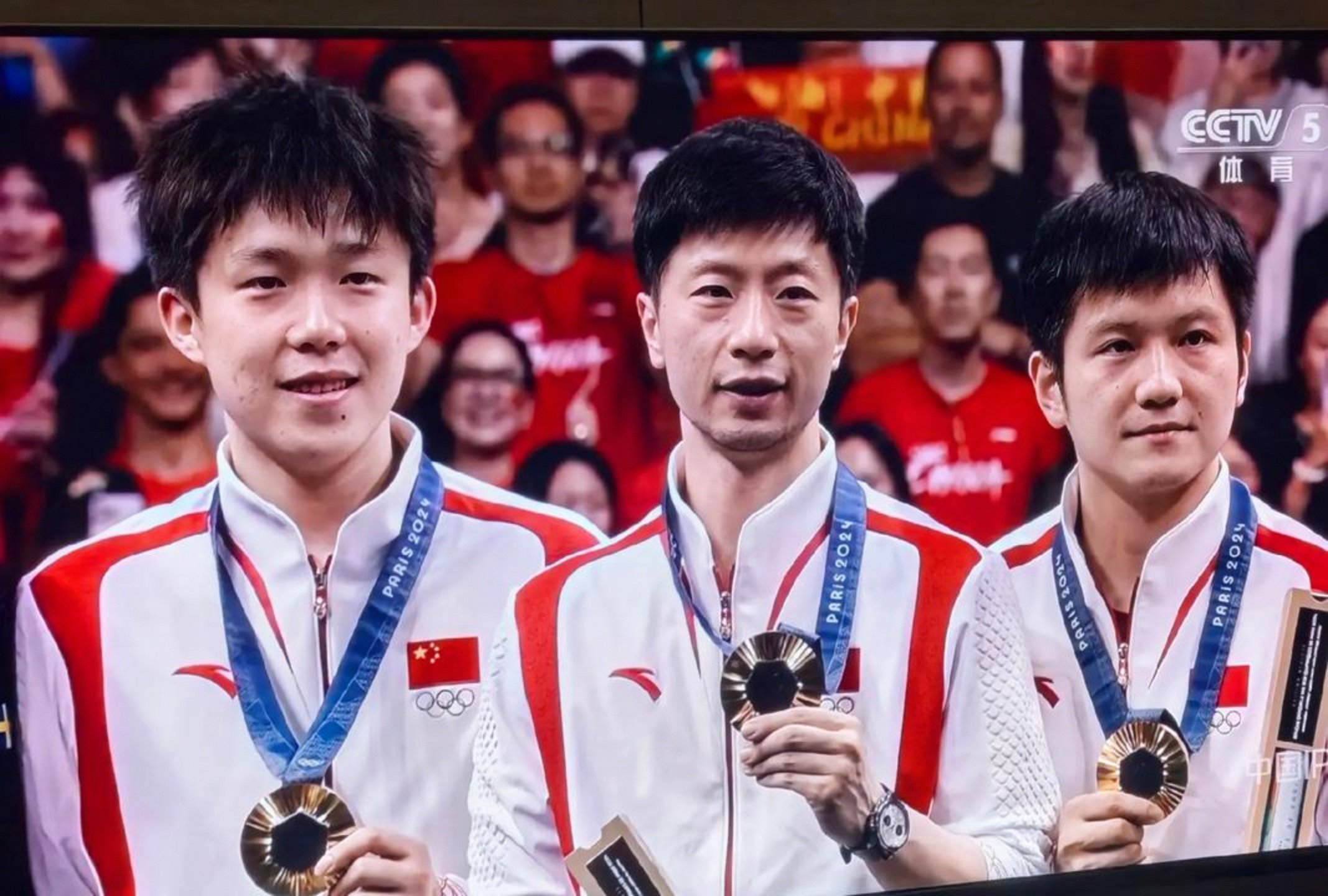 开云体育官网-瑞典队横扫韩国队，马龙刷新纪录