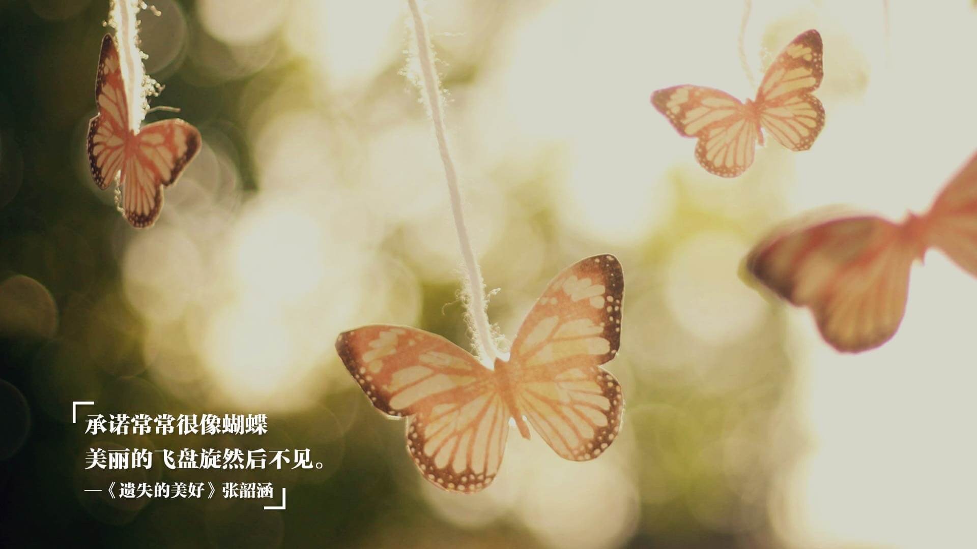 两河流域的呐喊，伊拉克绝境逆转南美红潮