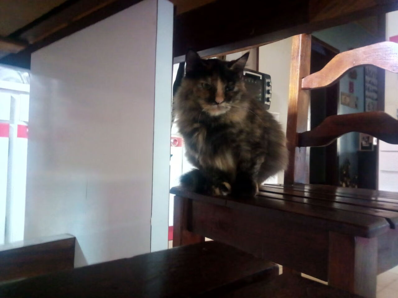 开云体育入口-锡安旋风撕裂防线，骑士铁壁锁死卫冕冠军，攻防转换决定比赛高度