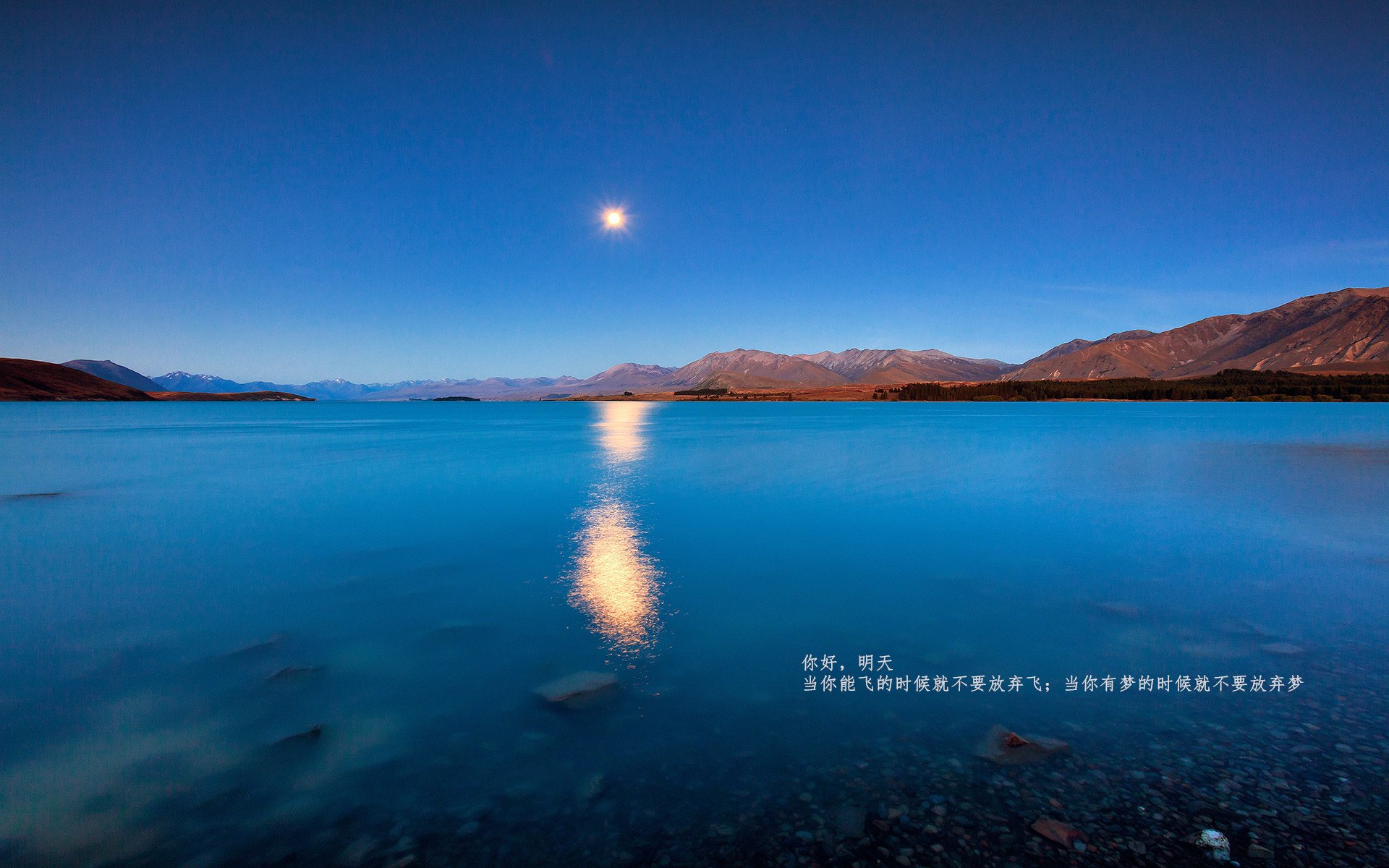 武切维奇独舞连砍关键分,老鹰展翅封锁新疆队猎场