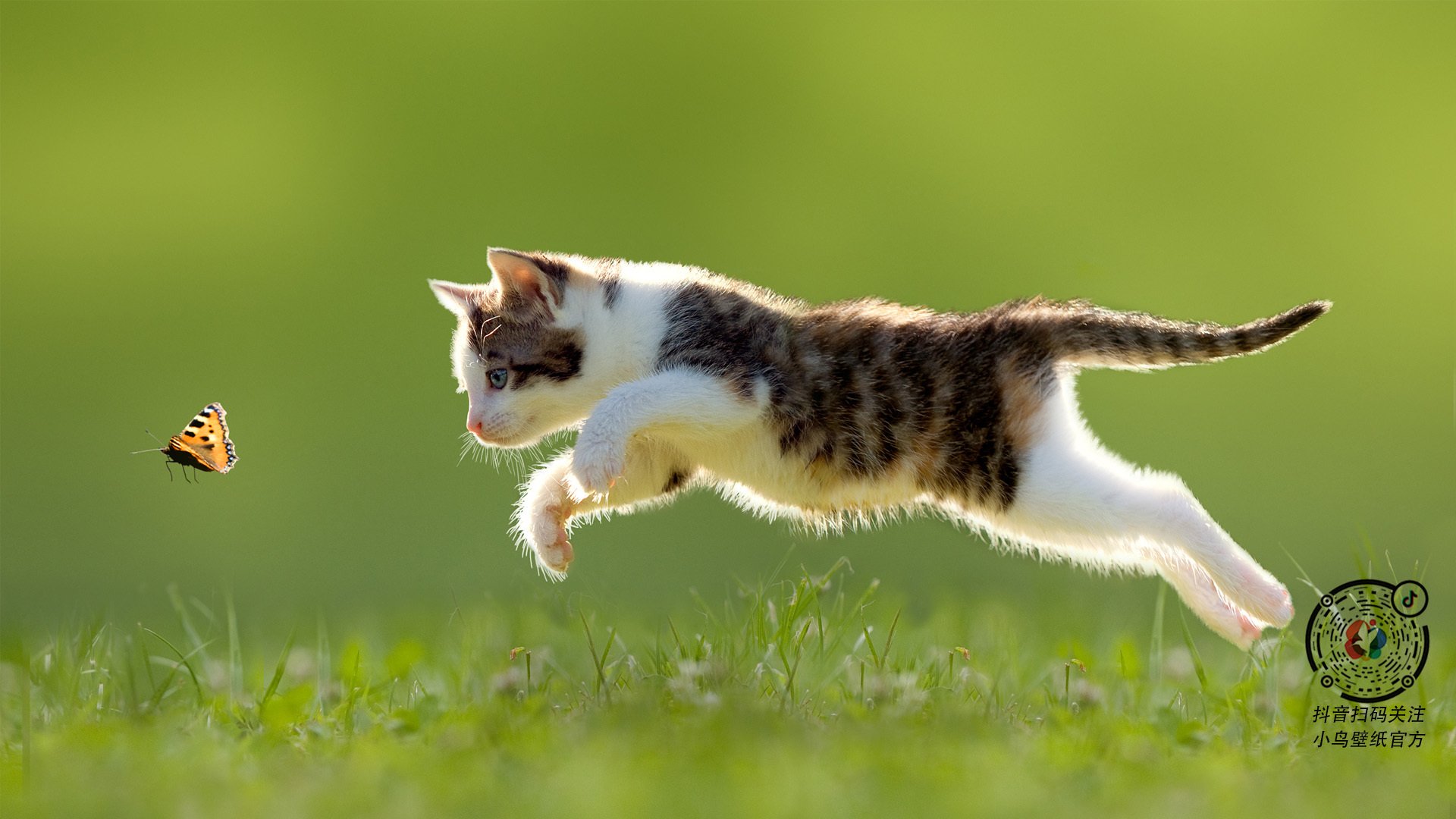 唯一性，当雄鹿拿下辽宁队，我们才发现伦纳德接管东决的真相