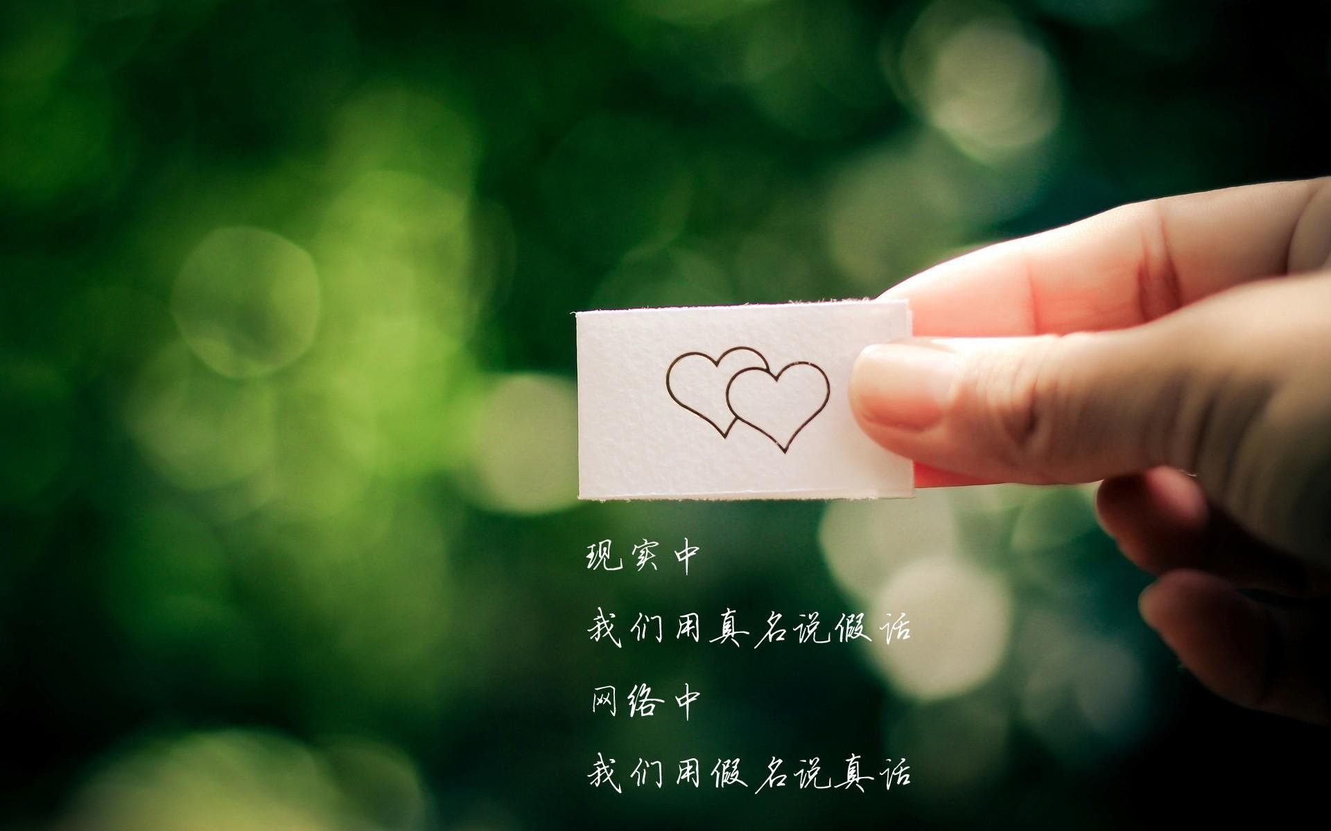 开云体育平台APP-德甲争冠战现一波流，焦点对决如何被一波带走？