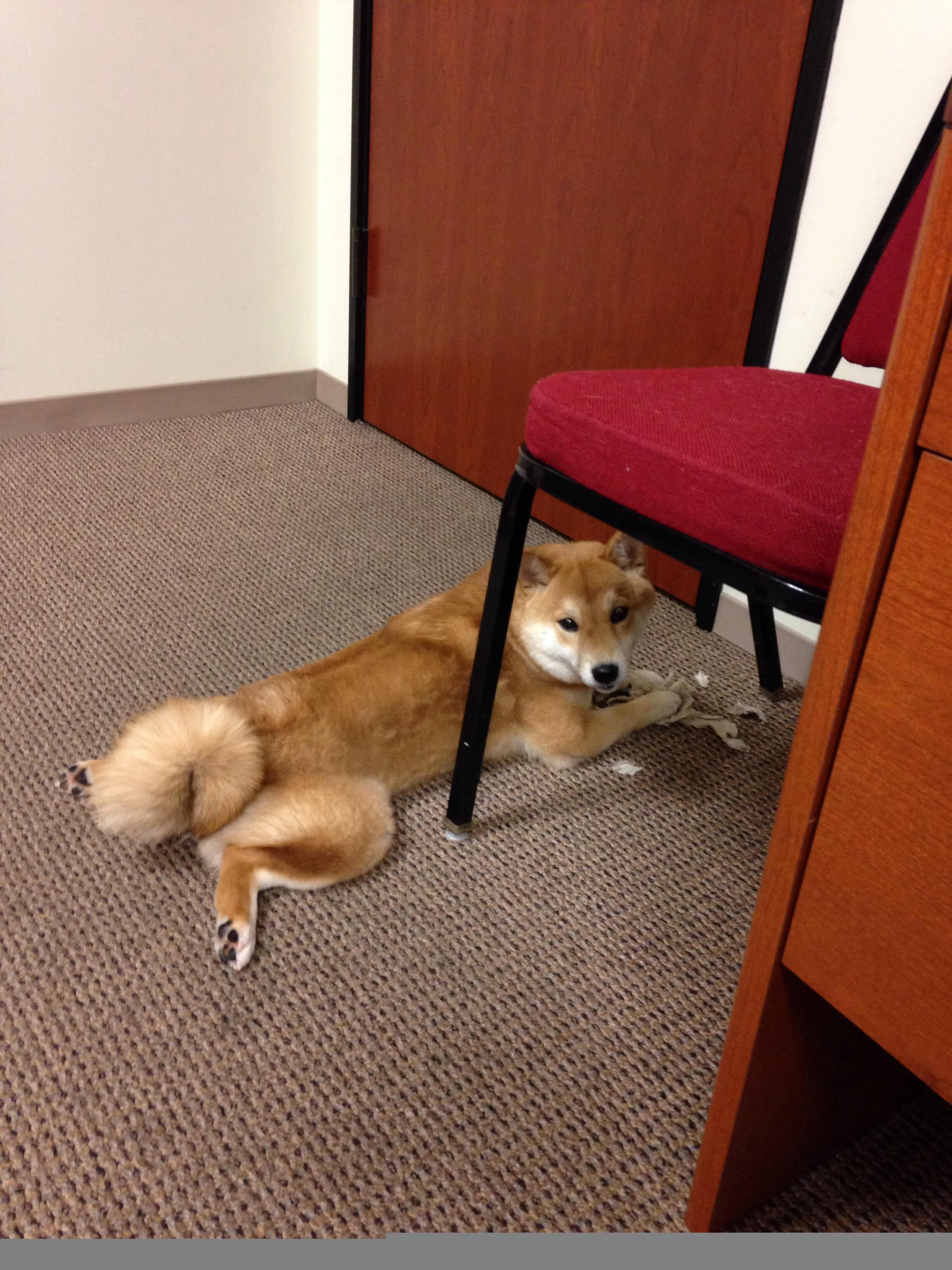 开云官网-降维打击，当恩比德的交响乐在上海滩奏响—一次关于无解的跨界篮球叙事