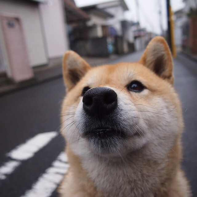 开云平台-迦太基鹰重现地中海，当布鲁诺的弧线提前宣判，突尼斯用罗马军团的方式压制英格兰