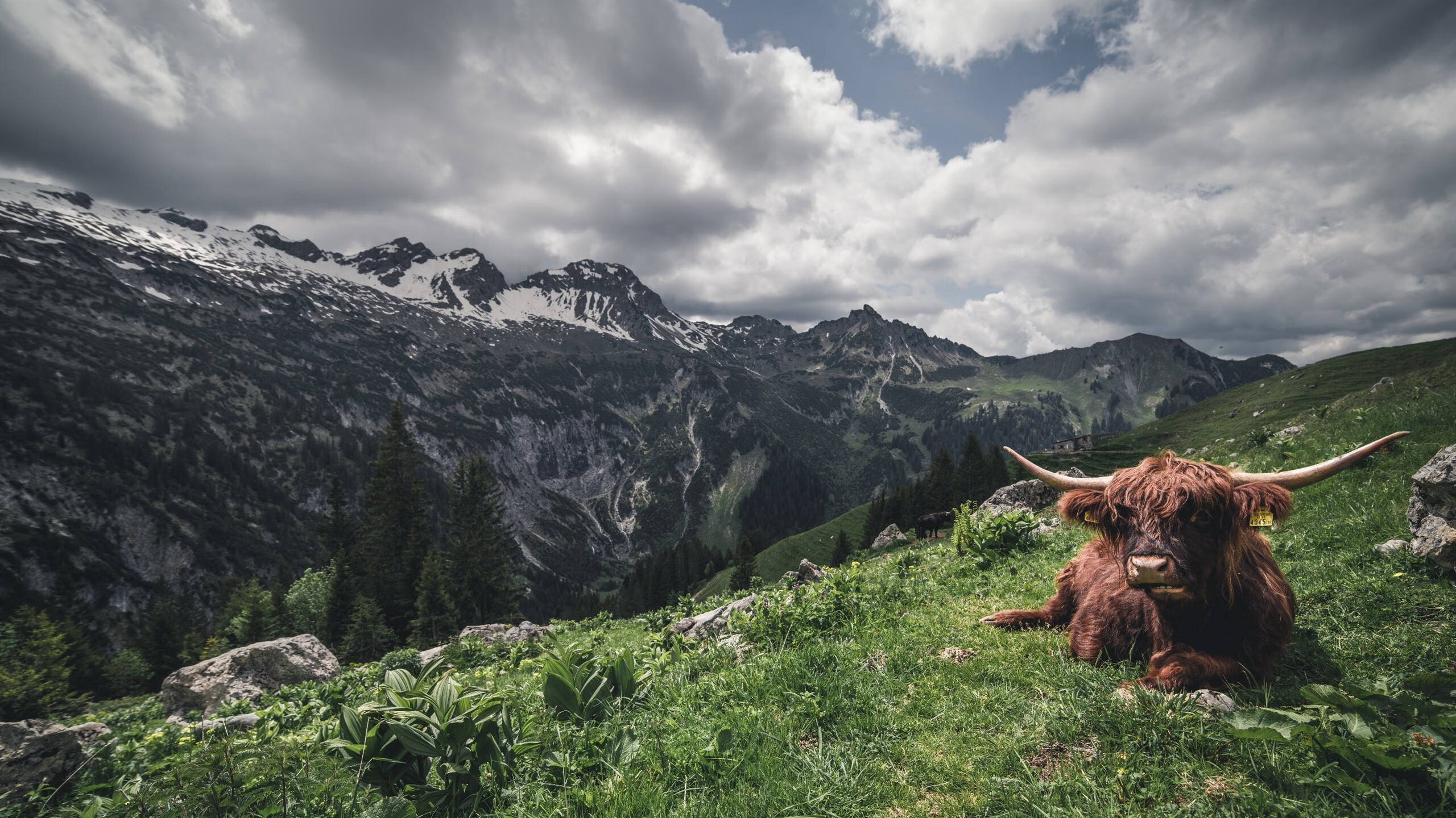 平行宇宙的篮球奇谈，当辽篮碾压金州勇士，克莱的存在感却拉满了