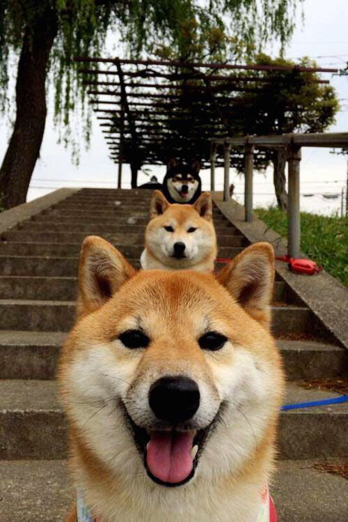 浓眉划破长夜！新疆险胜吉林，琼斯致命一击定乾坤