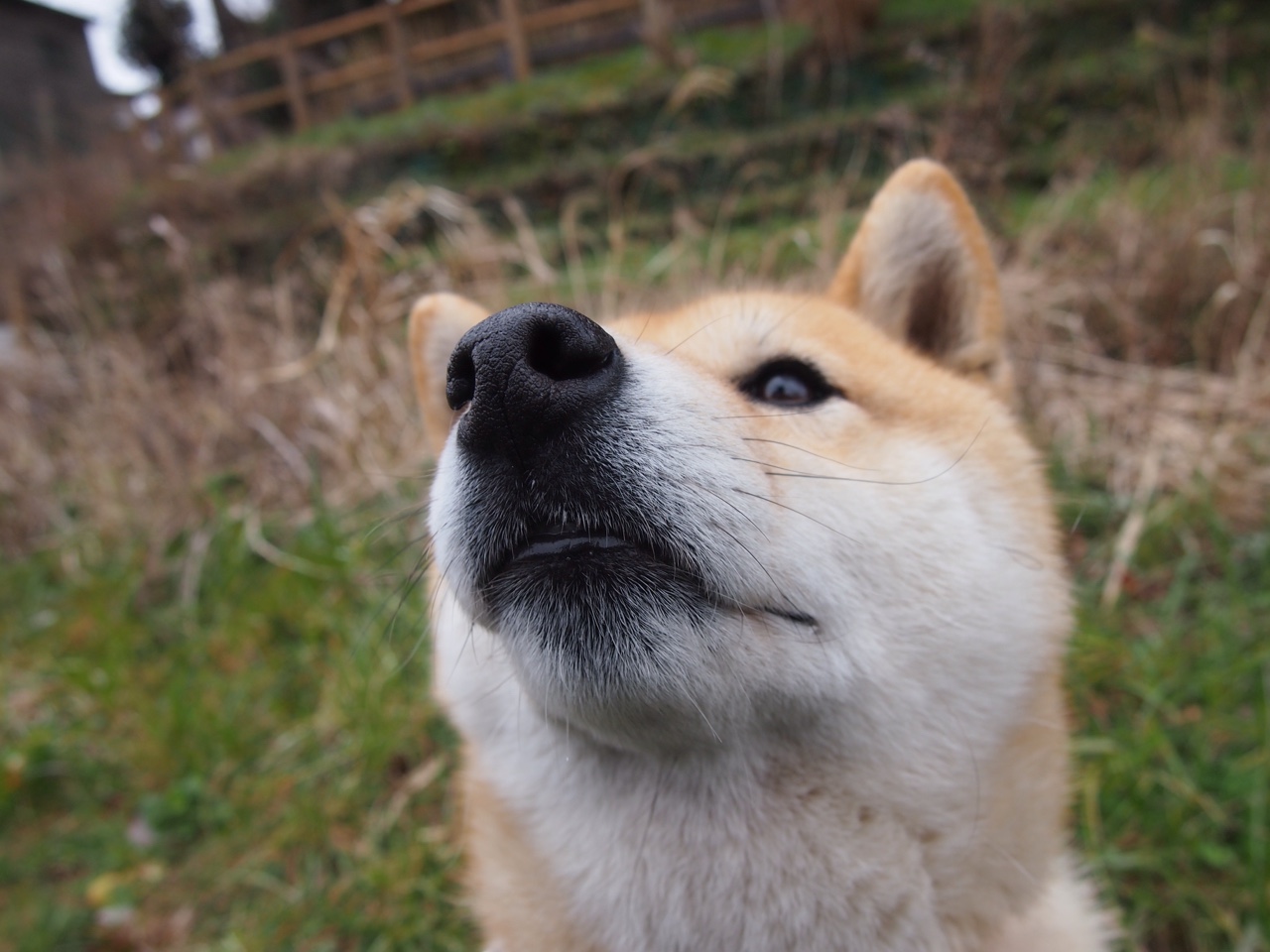 开云官网-阿劳霍时间，当墨西哥的脉搏由一人心跳定义
