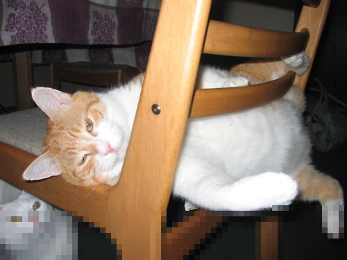 全息战术板，范弗利特统治级数据解密雷霆银色闪电冲垮步行者