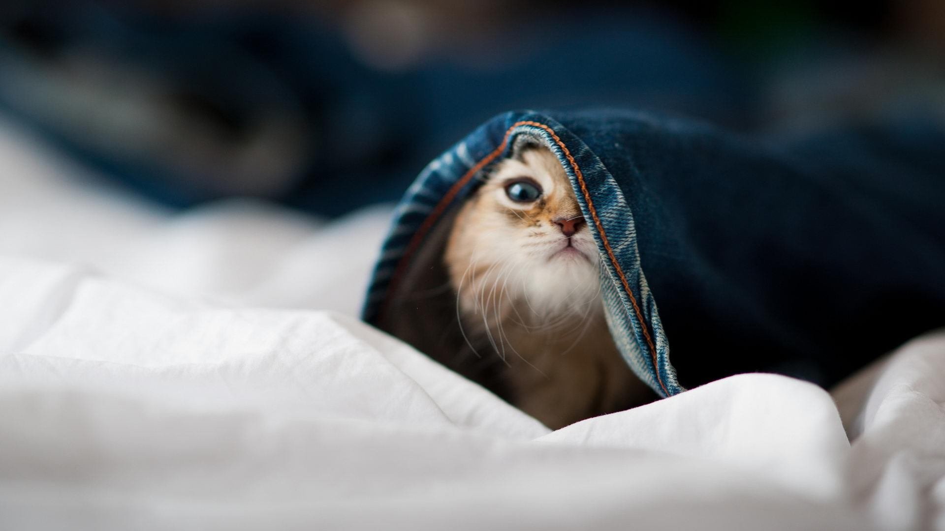 从杜阿拉到圣西罗，伊萨克用非洲时间终结了亚特兰大的欧洲节奏