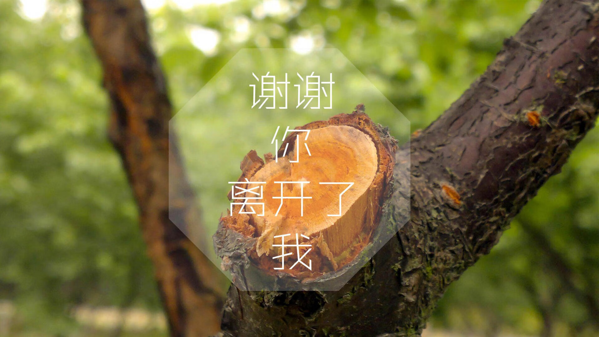 轮回之刃，2026世界杯，当历史在阿诺德脚下重演，意大利完胜加拿大书写宿命新章