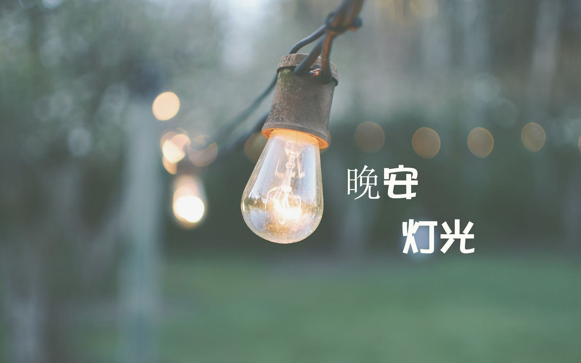 开云sport-费利克斯的闪电一击，当沙特在2026世界杯C组掀起红色风暴