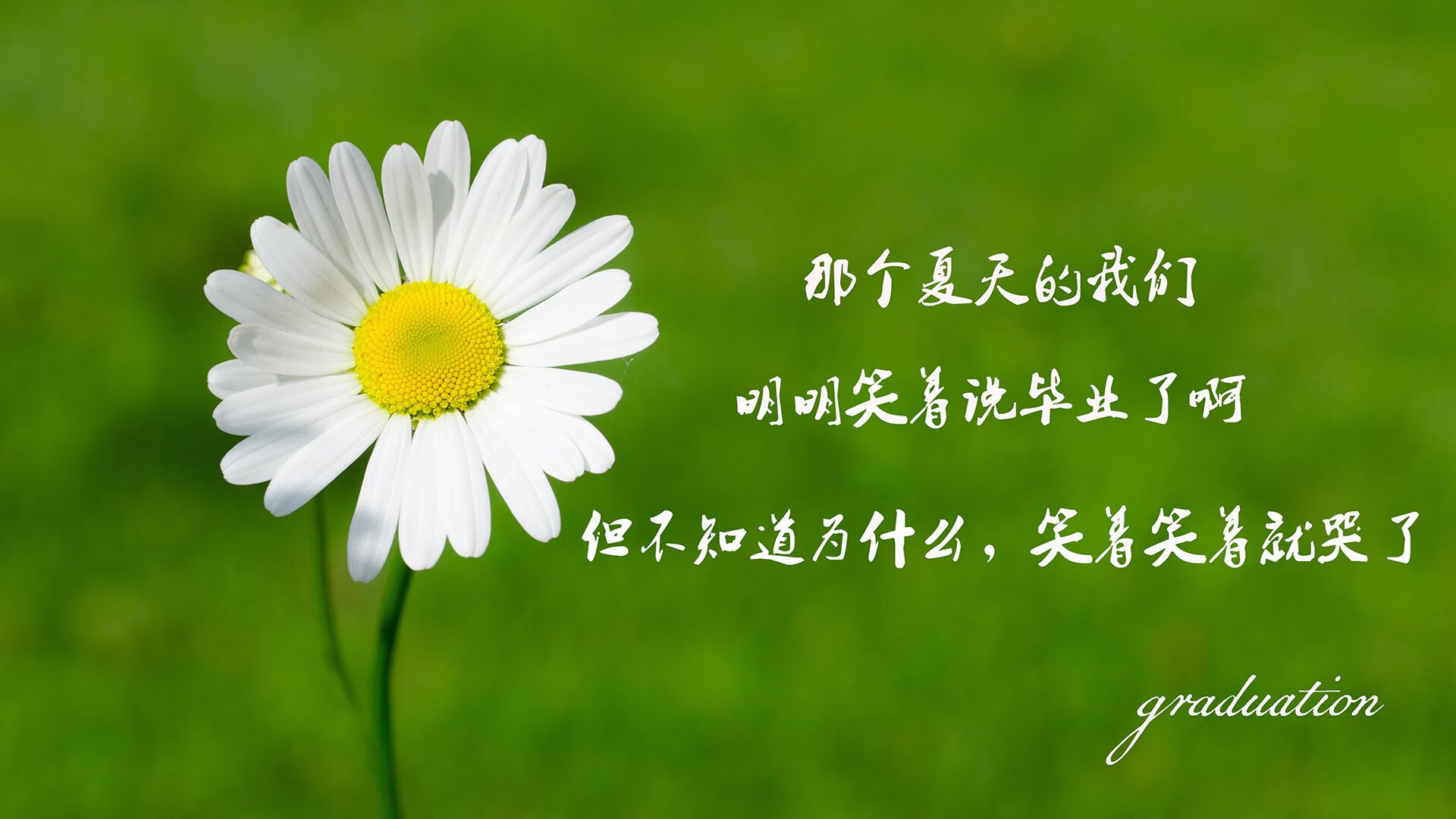 北欧风暴中的东欧铁骑，2026世界杯D组关键战，斯洛伐克力克挪威，萨卡带队书写唯一传奇