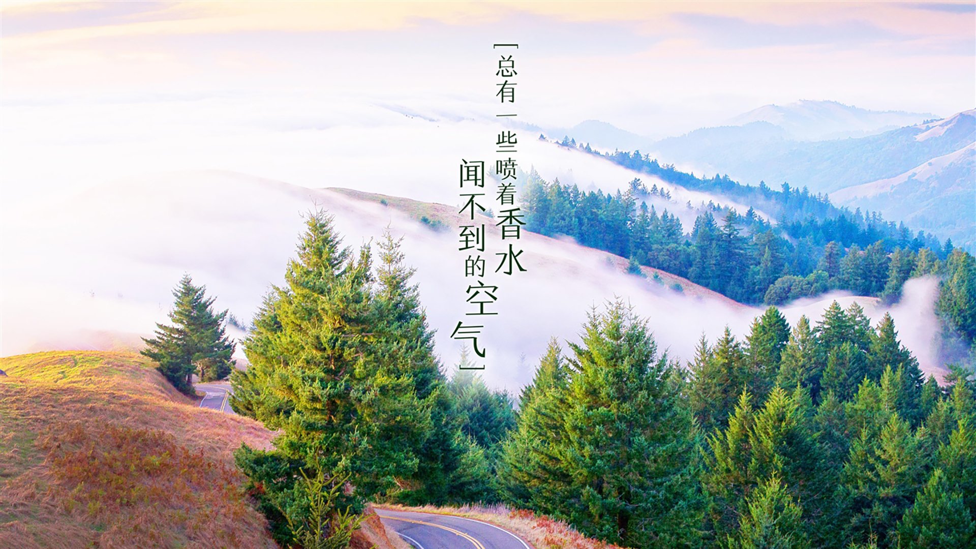 开云体育官网-铁幕封锁下的闪电战,2026世界杯C组,波兰巨塔碾压泰国,库尔图瓦用十指筑起不败神话