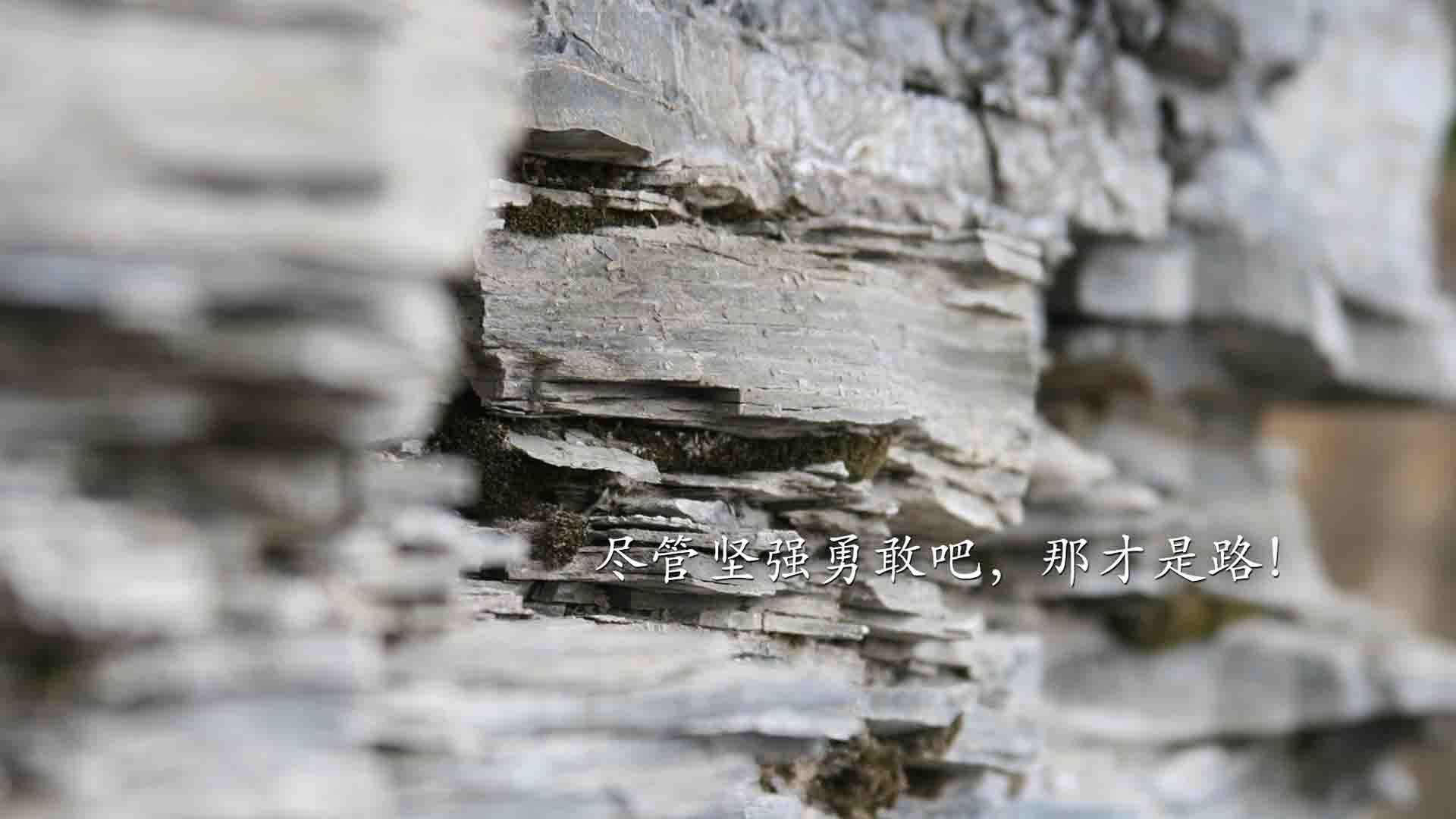 多哈奇迹，当卫冕冠军折戟沙漠，卡塔尔书写世界杯史上最冷一夜