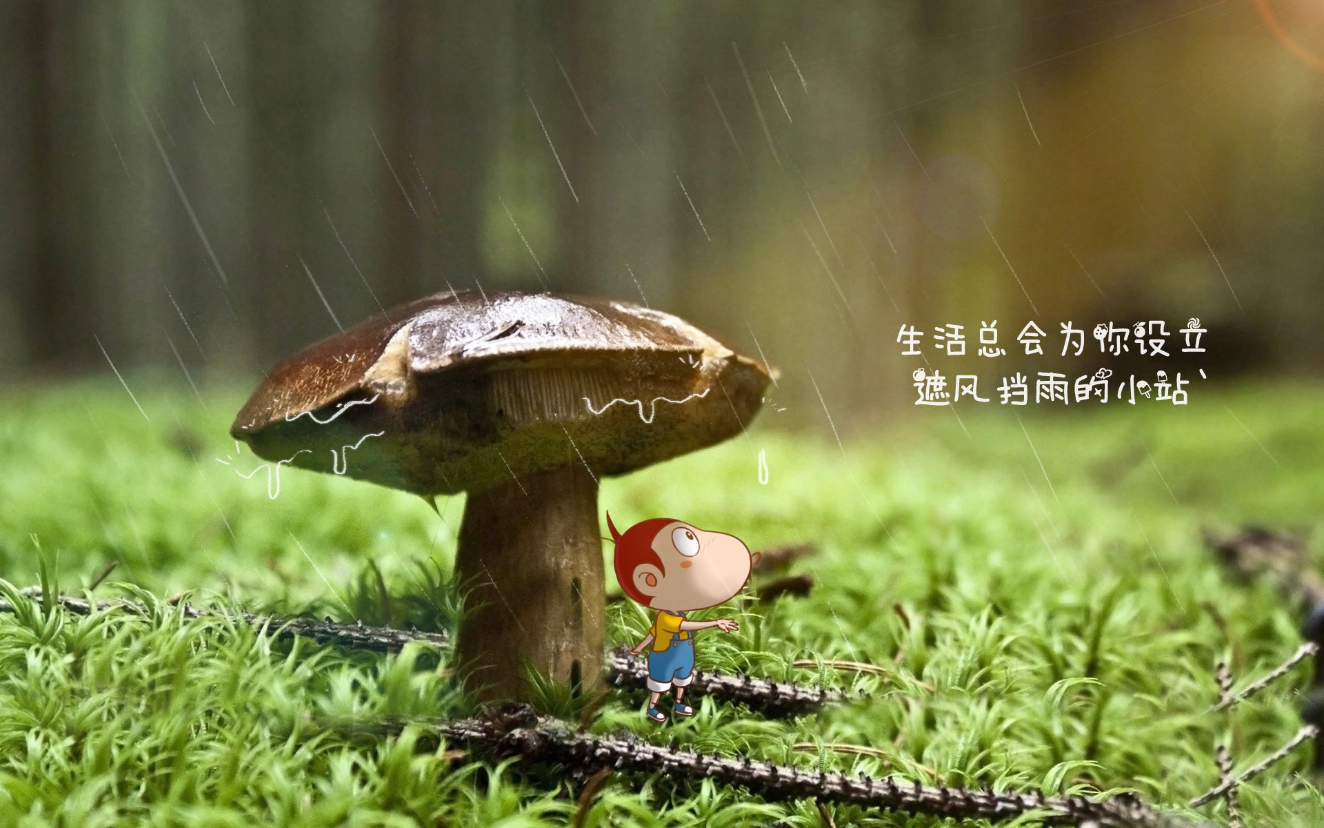 命运的回响，2026世界杯揭幕战，意大利之魂与阿诺德的绝唱