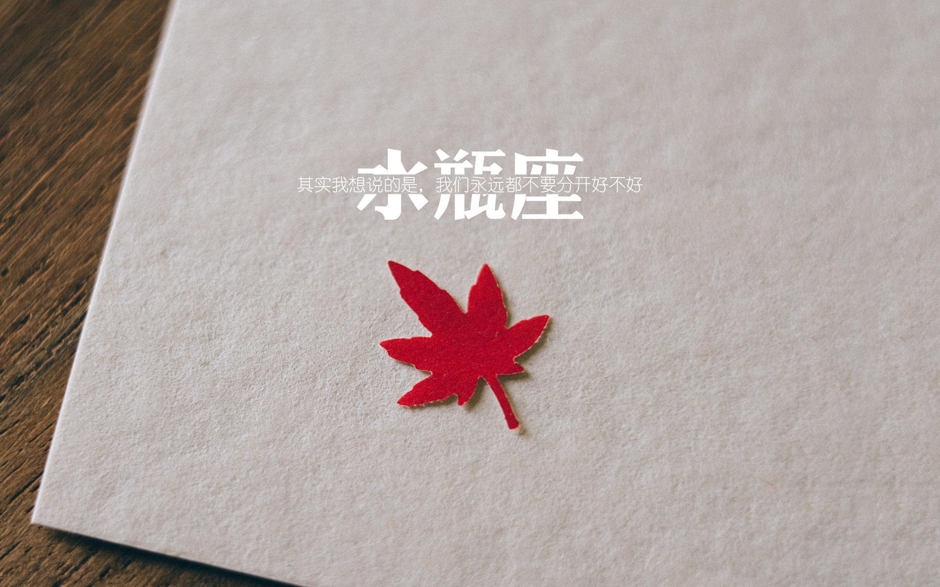 (候选与最终选择)